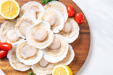 Ahşap tahta üzerinde taze kabuk tarak