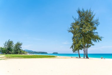 Güzel tropikal plaj ve Hindistan cevizi hurma ağacı Cennet Adası - tatil tatil kavramı ile