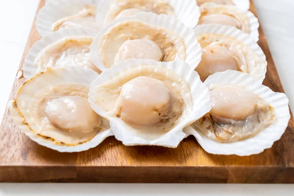 Coquille Fraîche Pétoncle Sur Panneau Bois — Photo