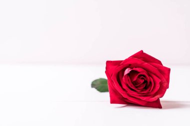 ahşap arka plan üzerinde kırmızı gül