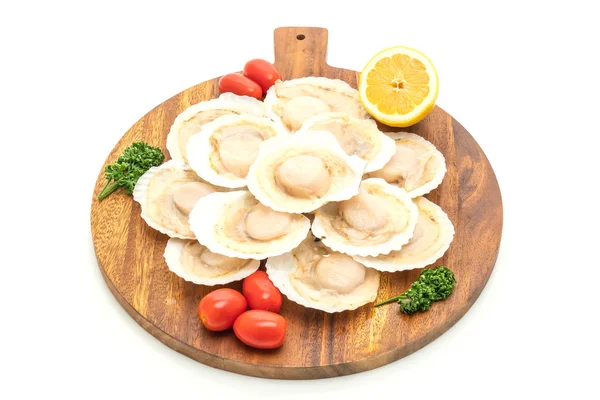 beyaz arkaplanda izole edilmiş taze deniz tarağı