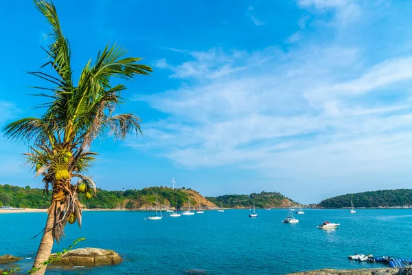 Güzel tropikal plaj ve Hindistan cevizi hurma ağacı Cennet Adası - tatil tatil kavramı ile