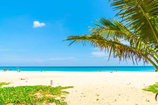 Güzel tropikal plaj ve Hindistan cevizi hurma ağacı Cennet Adası - tatil tatil kavramı ile