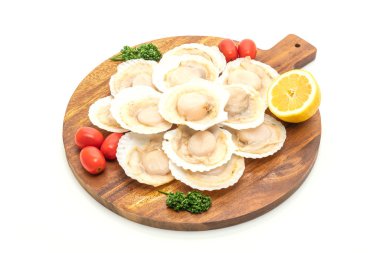 beyaz arkaplanda izole edilmiş taze deniz tarağı