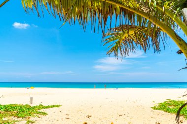 Güzel tropikal plaj ve Hindistan cevizi hurma ağacı Cennet Adası - tatil tatil kavramı ile