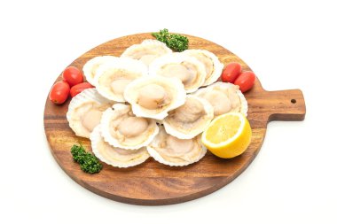 beyaz arkaplanda izole edilmiş taze deniz tarağı