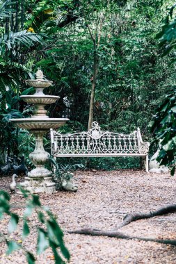 Bahçedeki - vintage filtre boş sandalye ve tezgah dekorasyon