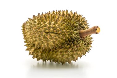 Beyaz arkaplanda izole edilmiş taze Durian meyvesi