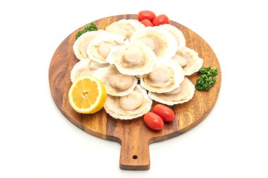 beyaz arkaplanda izole edilmiş taze deniz tarağı