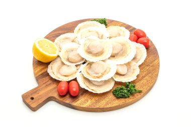 beyaz arkaplanda izole edilmiş taze deniz tarağı