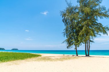 Güzel tropikal plaj ve Hindistan cevizi hurma ağacı Cennet Adası - tatil tatil kavramı ile