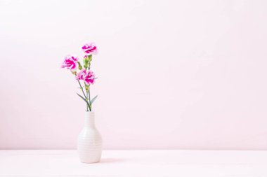 ahşap arka plan kopya alanı ile pembe bahar çiçek