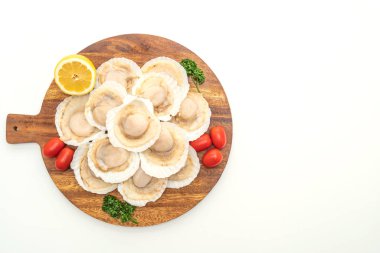 beyaz arkaplanda izole edilmiş taze deniz tarağı