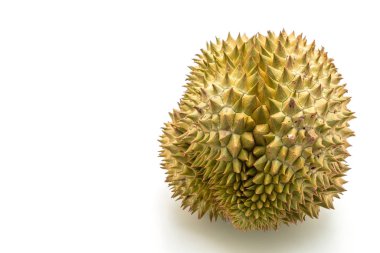 Beyaz arkaplanda izole edilmiş taze Durian meyvesi