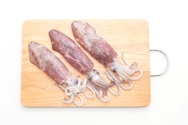 taze ahtapot veya mürekkep çiğ beyaz arka plan üzerinde izole