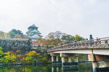 Osaka, Japonya - Kasım 20: Osaka Kalesi Park'ta kalabalık ziyaretçi. Bir kamu kentsel park ve Osaka, Japonya yer alan ören.