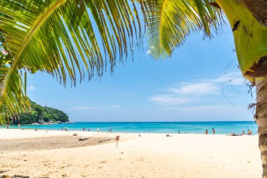 Güzel tropikal plaj ve Hindistan cevizi hurma ağacı Cennet Adası - tatil tatil kavramı ile