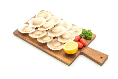 beyaz arkaplanda izole edilmiş taze deniz tarağı