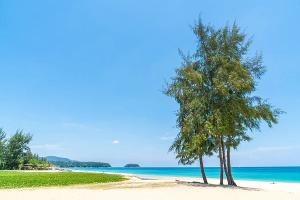 Güzel tropikal plaj ve Hindistan cevizi hurma ağacı Cennet Adası - tatil tatil kavramı ile