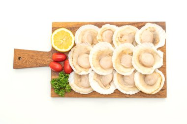 beyaz arkaplanda izole edilmiş taze deniz tarağı