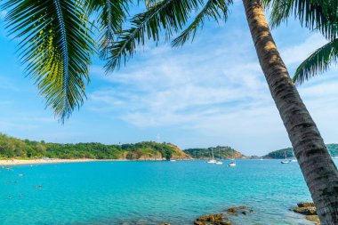 Güzel tropikal plaj ve Hindistan cevizi hurma ağacı Cennet Adası - tatil tatil kavramı ile