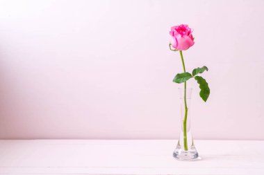 Ahşap arka plan üzerinde cam vazo içinde pembe Gül