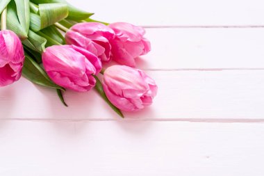 ahşap arka plan üzerinde Pembe Lale çiçek