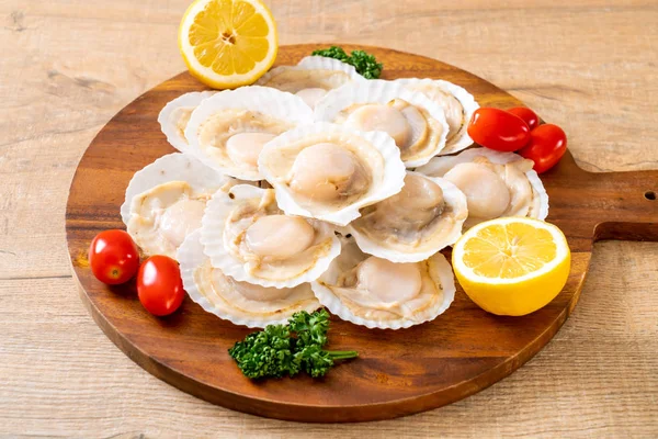 Fresh shell scallop — Stock Photo, Image