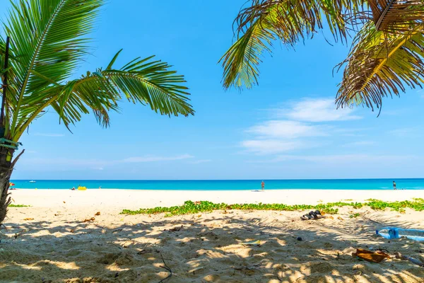 Güzel tropikal plaj ve deniz parad Hindistan cevizi hurma ağacı ile