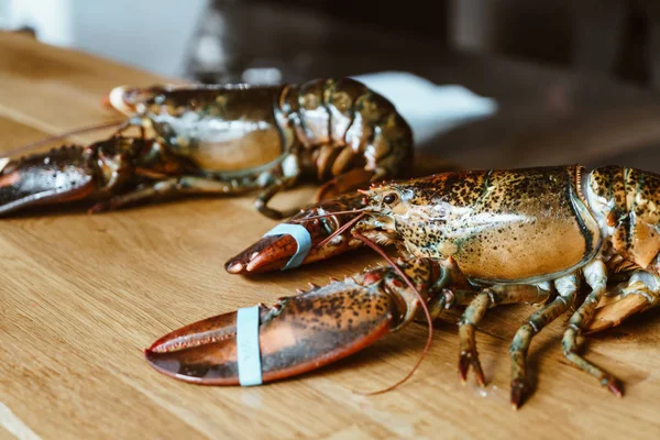 Verse kreeft op tafel — Stockfoto