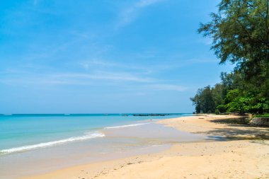 Güzel tropikal plaj ve deniz paradise Island 