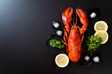 buz ve limon ile taze haşlanmış kırmızı ıstakoz