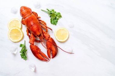 buz ve limon ile taze haşlanmış kırmızı ıstakoz