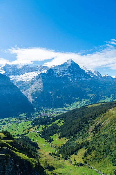 Деревня Гриндельвальд Альпами Голубым Небом Швейцарии — стоковое фото