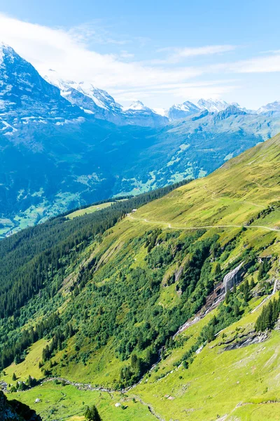 Montanha Dos Belos Alpes Com Céu Azul Grindelwald Suíça — Fotografia de Stock