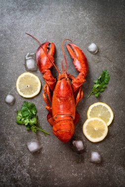 buz ve limon ile taze haşlanmış kırmızı ıstakoz