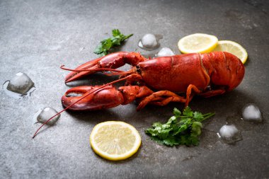 buz ve limon ile taze haşlanmış kırmızı ıstakoz