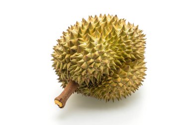 Beyaz arkaplanda izole edilmiş taze Durian meyvesi