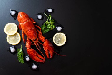buz ve limon ile taze haşlanmış kırmızı ıstakoz