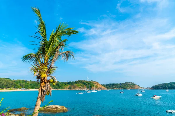 Bella Spiaggia Tropicale Mare Con Palma Cocco Nell Isola Paradisiaca — Foto Stock