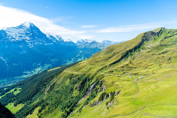 Güzel Alps dağ Grindelwald, İsviçre mavi gökyüzü ile