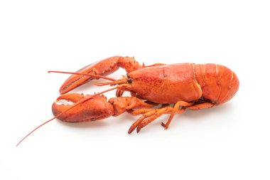 Beyaz arka plan üzerinde izole pişmiş ıstakoz