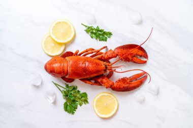 buz ve limon ile taze haşlanmış kırmızı ıstakoz