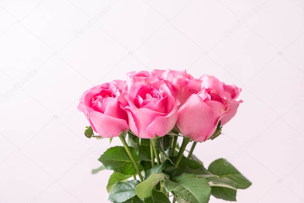 pink rose in vase on wood background with copy space