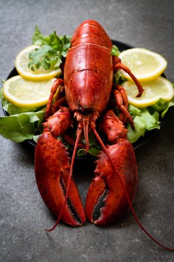 taze Haşlanmış istakoz sebze ve limon ile