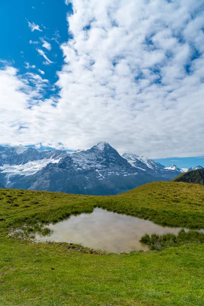 Montanha Dos Belos Alpes Com Céu Azul Grindelwald Suíça — Fotografia de Stock