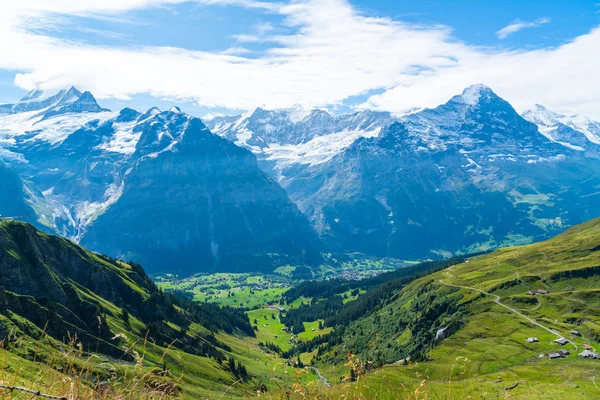 Деревня Гриндельвальд Альпами Голубым Небом Швейцарии — стоковое фото
