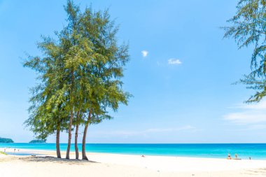 Güzel tropikal plaj ve Hindistan cevizi hurma ağacı Cennet Adası - tatil tatil kavramı ile