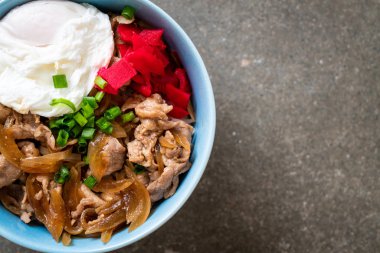 Yumurtalı domuz pirinci kasesi (Donburi) - Japon yemeği tarzı.