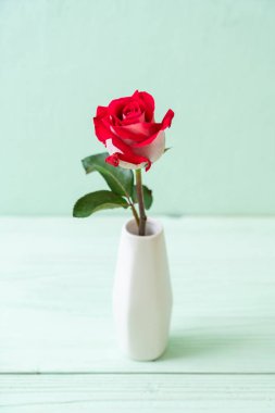 ahşap arka plan üzerinde kırmızı gül